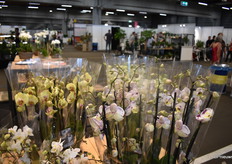 Kijkje op de beursvloer